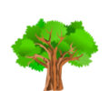 Tree Trim Scheduled