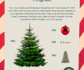 Waste Management Holiday Tree Collection